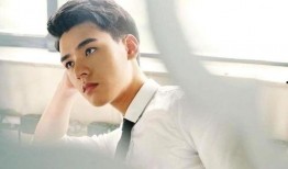 杨紫龚俊最新爆料,揭秘幕后故事与甜蜜互动