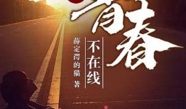 青春在线在线观看,青春记忆的云端回响